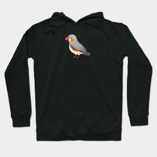 Cute Zebra Finch Bird Hoodie